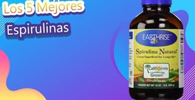 Comparación entre spirulina y kale ¿cuál es mejor?