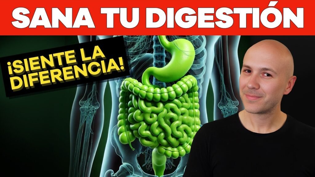 Guía completa de alimentos para mejorar la digestión