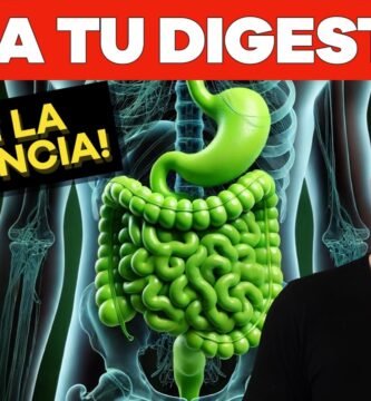 Guía completa de alimentos para mejorar la digestión
