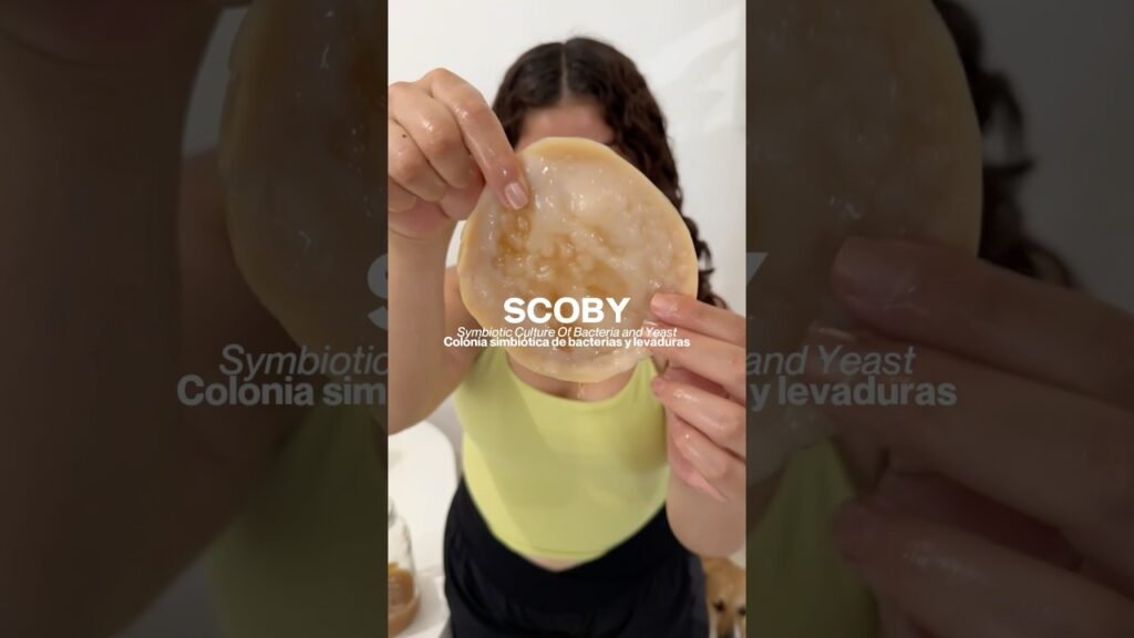 Ideas de platos con kombucha que debes probar