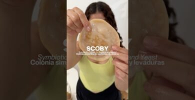 Ideas de platos con kombucha que debes probar