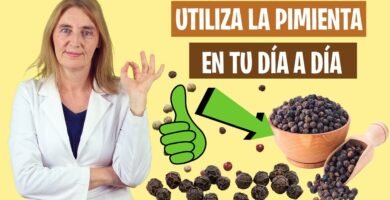 Todo lo que debes saber sobre el uso del pimienta negra en la cocina