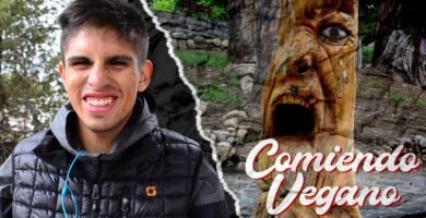 Dónde encontrar comida vegana en La Paz