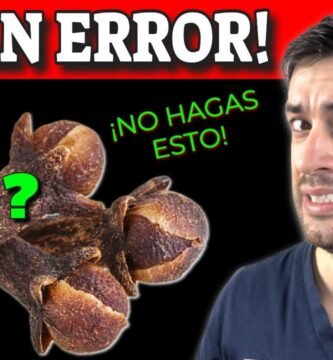 Errores comunes al usar clavo de olor y cómo evitarlos