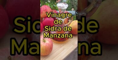 Guía de uso para la vinagre en la cocina