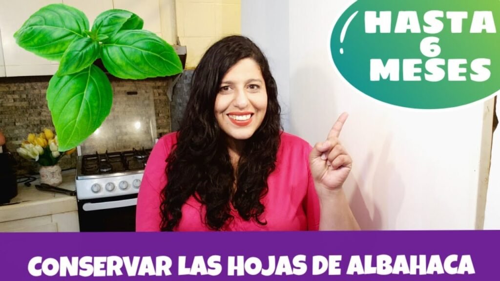 ¿Cuál es la mejor forma de conservar la albahaca?