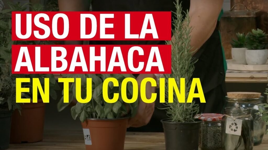 Combinaciones perfectas para la albahaca en tus recetas
