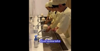 Comidas para estudiantes que ayudan a retener mejor la información en Japón