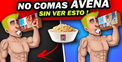Comparación entre avena overnight y miso ¿cuál es mejor?