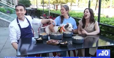 Restaurantes pet-friendly en Philadelphia
