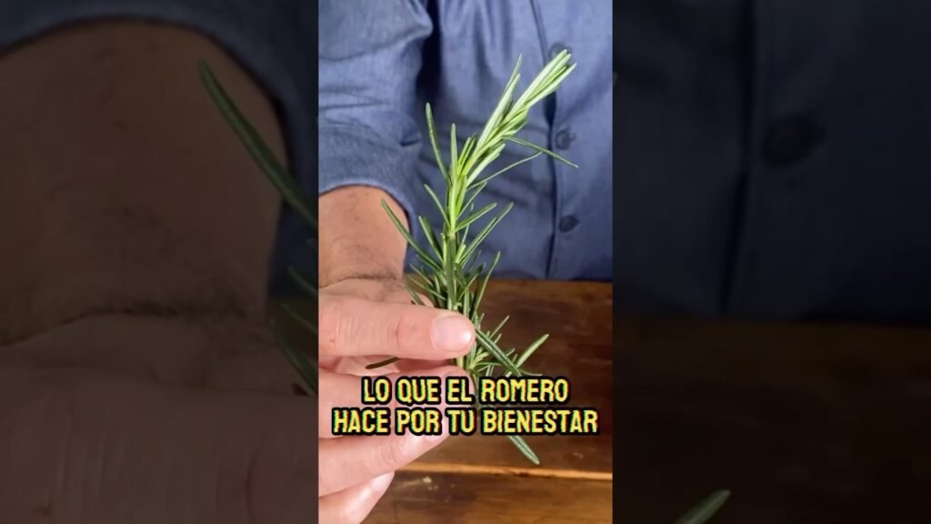 Sustitutos de la romero para recetas saludables