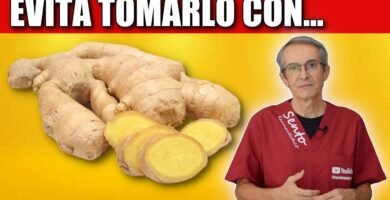 ¿Con qué no se debe mezclar la jengibre?