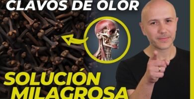 ¿Cuál es la mejor forma de conservar la clavo de olor?