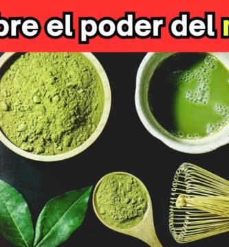 ¿Qué es el matcha y por qué todos hablan de ello?