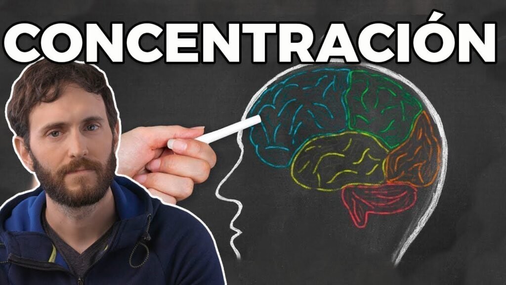 Alimentos que ayudan a mejorar la concentración durante el estudio