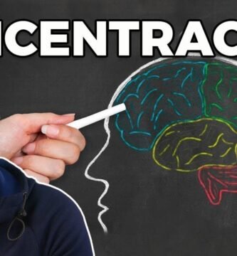 Alimentos que ayudan a mejorar la concentración durante el estudio