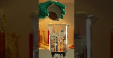 Combinaciones perfectas para la nuez moscada en tus recetas