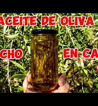 Cómo reemplazar la aceite de oliva si no la tienes en casa
