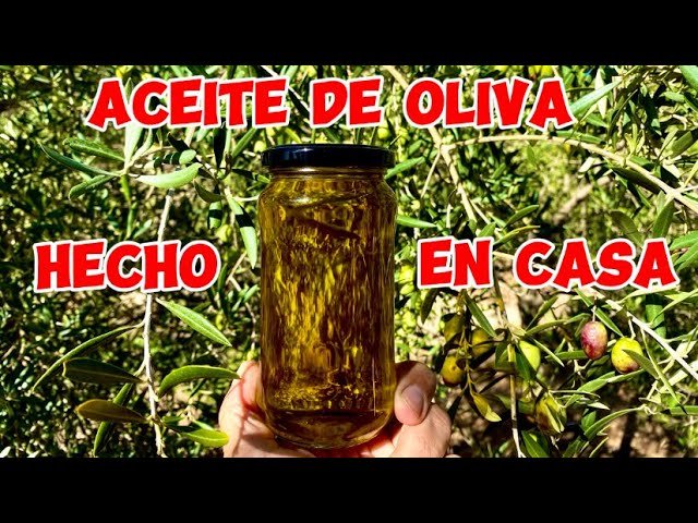 Cómo reemplazar la aceite de oliva si no la tienes en casa