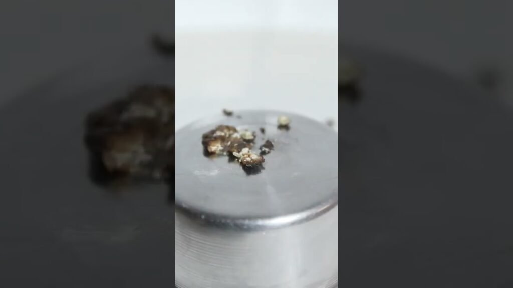 Cómo reemplazar la pimienta negra si no la tienes en casa