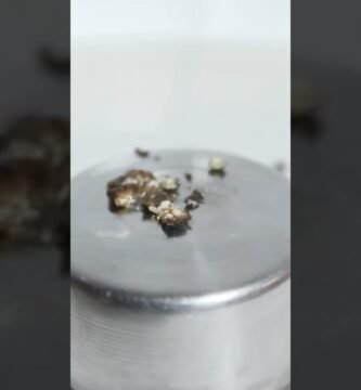 Cómo reemplazar la pimienta negra si no la tienes en casa