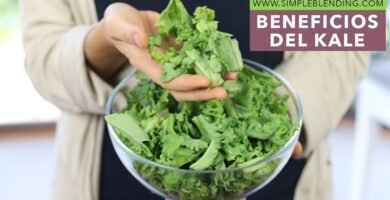 Comparación entre kale y kale ¿cuál es mejor?