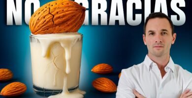 Comparación entre leche de almendras y tempeh ¿cuál es mejor?