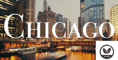 Dónde encontrar comida vegana en Chicago