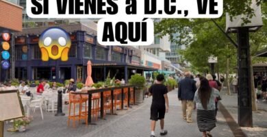 Dónde encontrar mariscos frescos en Washington DC