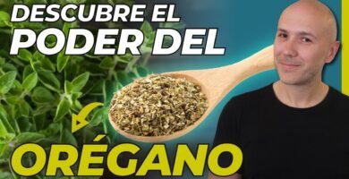 Guía de uso para la orégano en la cocina