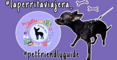 Restaurantes pet-friendly en Córdoba
