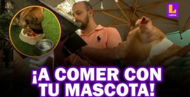 Restaurantes pet-friendly en Lima