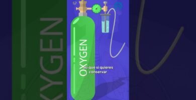 ¿Con qué no se debe mezclar la chile?