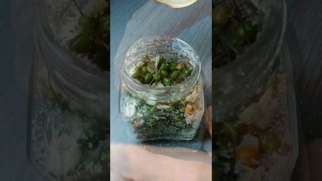 ¿Cuál es la mejor forma de conservar la comino?