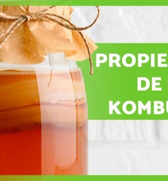 ¿Qué es el kombucha y por qué todos hablan de ello?