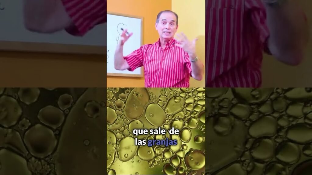 ¿Qué es el umami y cómo potenciarlo con aceite de oliva?