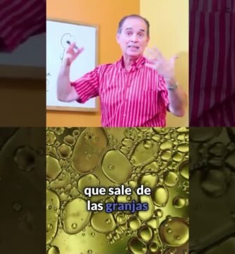 ¿Qué es el umami y cómo potenciarlo con aceite de oliva?