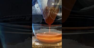 ¿Vale la pena gratinar tartar? Descúbrelo aquí