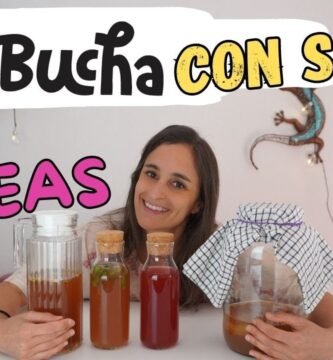 Cómo lograr un mejor sabor al fermentar sopas