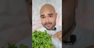 Cómo realzar el sabor de tus platos con cilantro
