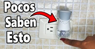 Cómo reemplazar la clavo de olor si no la tienes en casa