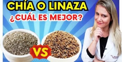 Comparación entre chia y miso ¿cuál es mejor?