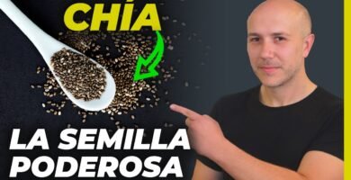 Comparación entre cúrcuma y chia ¿cuál es mejor?