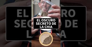 Comparación entre miso y chia ¿cuál es mejor?