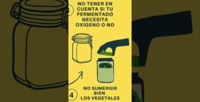 Errores comunes al usar miso y cómo evitarlos