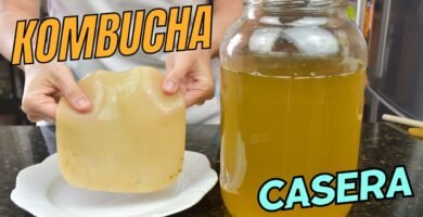 Guía completa sobre el uso de kombucha en la cocina moderna