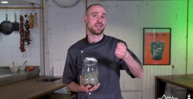 Guía de uso para la romero en la cocina