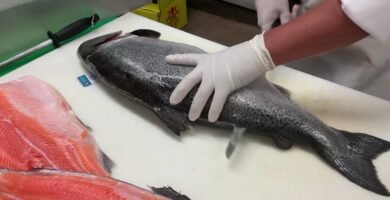 Guía paso a paso para cortar pescados