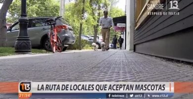 Restaurantes pet-friendly en Santiago de Chile