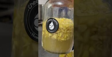 Sustitutos de la jengibre para recetas saludables